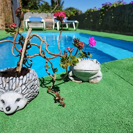 New Layo Villa Arucas